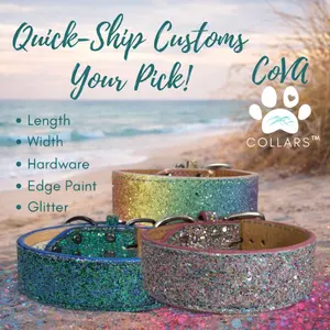 Customizable Leather Material Dog & Cat Collar - Chunky Glitter Bling Pet Accessory, Available in Multiple Colors & Sizes