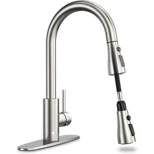 Kitchen Faucets, Kitchen Faucet with Pull Down Sprayer, High Arc Single Handle Kitchen Sink Faucet with Water Lines, Brushed Nickel Kitchen Faucet with Sprayer, RV Sink faucets
