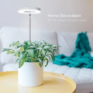 Full-spectrum indoor Home solar LED growth lamp inserted into the soil, USB dimming timing, succulent plants, flower bed telescopic fill light lamp, Grow Lights for Indoor Plants