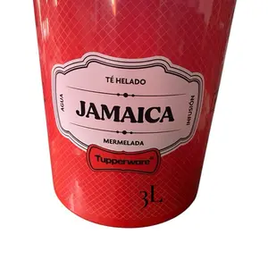 Tupperware Jamaica 3L One Touch Versatile Kitchen Essential Tupperware for Tea and Water Infusion