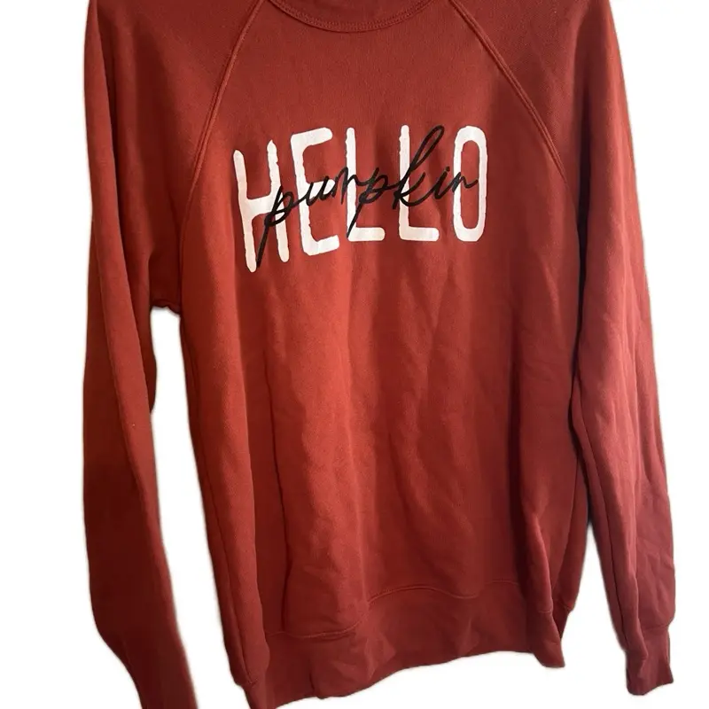 Hello pumpkin orange sweatshirt Pullover