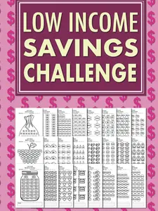 Low Income Savings Challenge Book: Simple Money Savings Challenges Tracker for Women, Easy Way to Save Money (Softcover).
