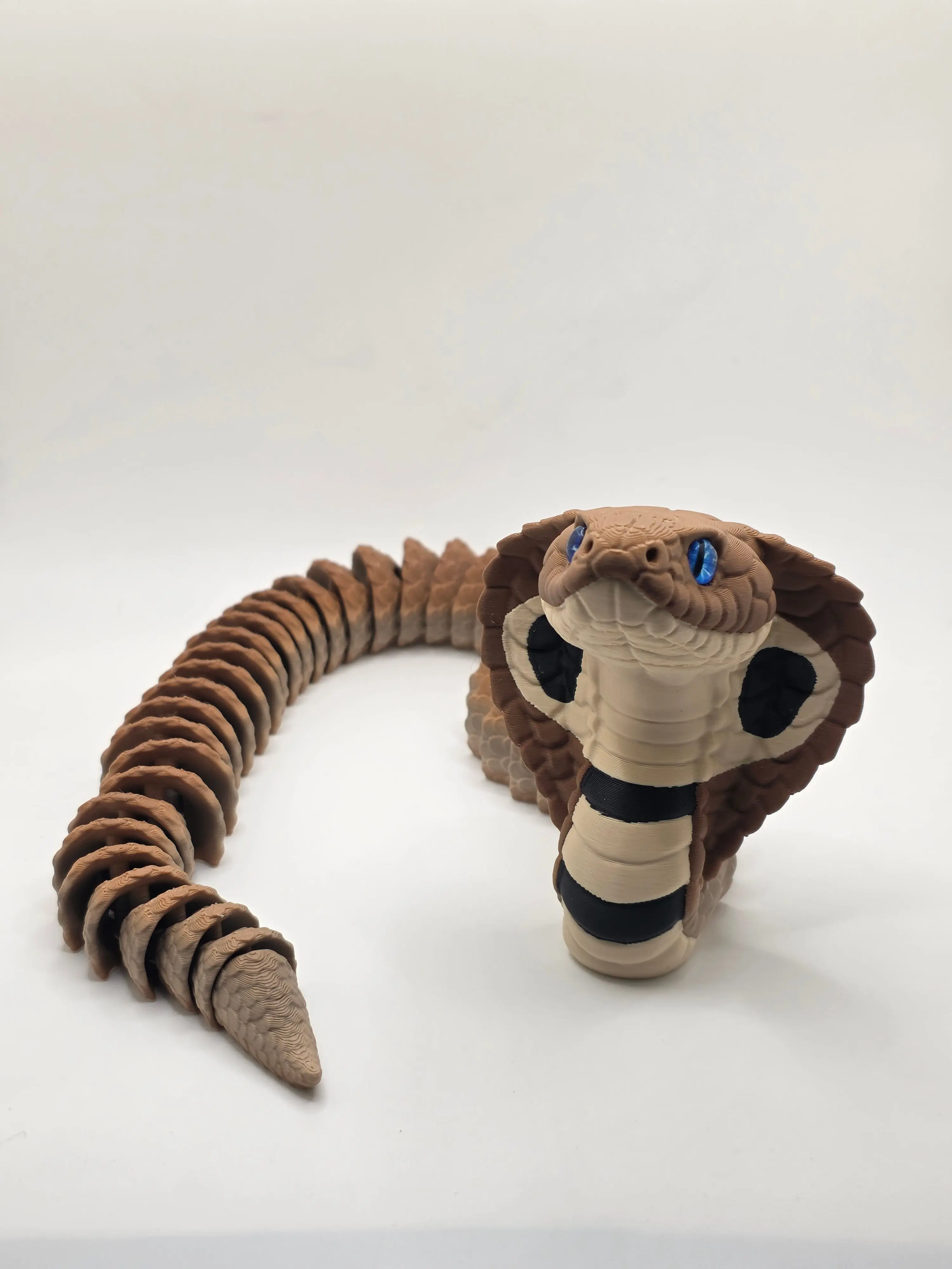 Cobra Snake