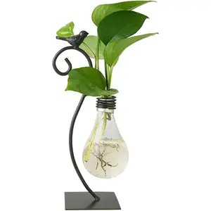 Desktop Glass Planter Hydroponics Vase,Planter Bulb Vase with Holder for Home Decoration,Modern Creative Bird Plant Terrarium Stand