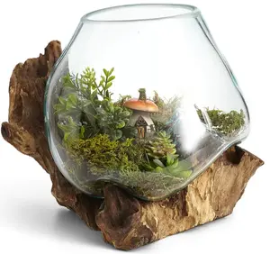 Hand-Blown Glass and Teak Wood Terrarium, Unique Medium, Sized Terrarium Container for Betta Fish, Plants, and Sculptural Display, Sculpture