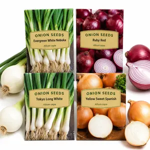Garden Theme Vegetables Onion Seed Set - 1000+ Non-GMO Heirloom Seeds, 4 Individual Packs (Evergreen White Nebuka, Ruby Red, Tokyo Long White, Yellow Sweet Spanish) for Home Garden Planting