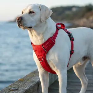 Chesapeake Bay Dog Harness