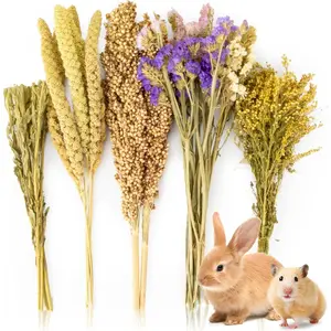 27Pcs Natural Hamster Bedding - Spray Mix, Safe Cage Habitat Decor, Hideout, Foraging Snack for Dwarf Syrian Hamster, Gerbil, Mice, Lemming, Degus & Other Small Animals HAMSTER SPRAYS