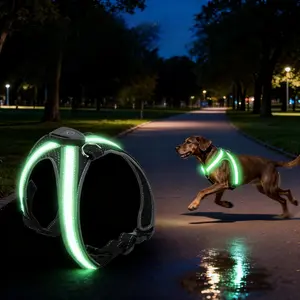 2026 LED Dog Harness Vest - USB Rechargeable Light Up Pet Clothing, Adjustable Night Running Safety Gear with High Visibility & Cool Glow, Reflective Harness
