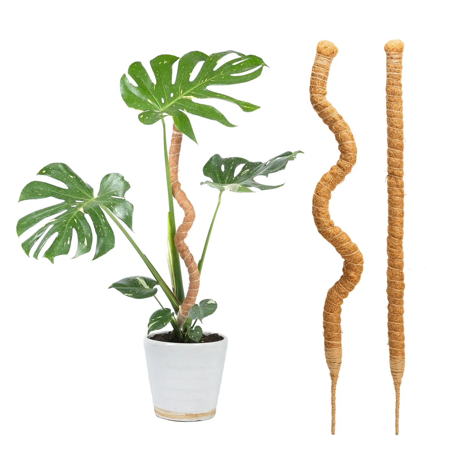2-Pack 28 In Flexible Bendable Moss Pole Stakes – Tree Support for Indoor Gardening Climbing Houseplants, Monstera & Potted Climbers, Long Pole Plant Care & Support, Climb Aid for Vertical Growth