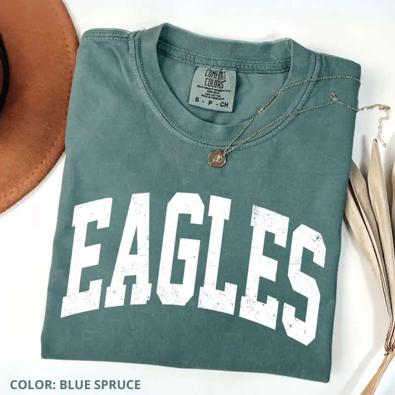 Comfort Colors Vintage Eagles T Shirt, Game Day Shirt, College Spirit Tee, Teacher Gameday Gift, Tailgate Football Tee, Short Sleeve Tee