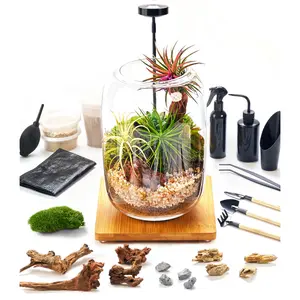 Terrarium Kit with Grow Light – 24-Piece DIY Glass Terrarium Set with Tools, Live Moss, Driftwood & Pebbles for Home Décor