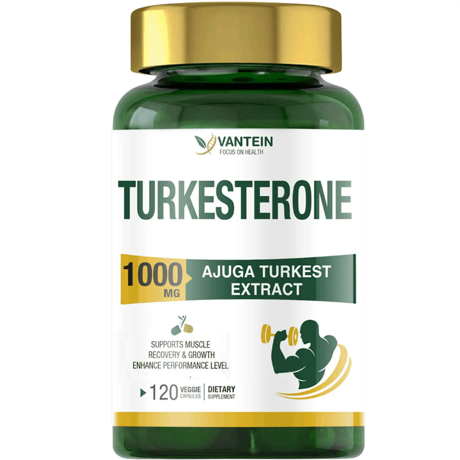 Turkesterone Dietary Supplement - 1000mg Pure Ajuga Turkestanica Extract, 120 Capsules, GMP-Certified, Gluten-Free, GMO-Free, Muscle Mass & Body Health Support for Adults, Supplement Stack Compatible