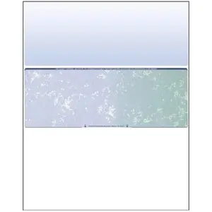Business Voucher Check Stock - Computer Laser Checks - 1000 Sheets, Check in Middle, Blue/Green Prismatic Compuchecks