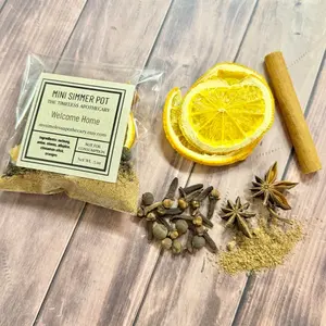Welcome Home Mini Simmer Pot Blend For Candle Warming Lamps, Hostess Gift, Natural Home Fragrance