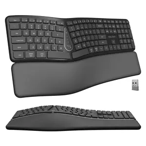 Delton KB250 Wireless Rechargeable Ergonomic Keyboard