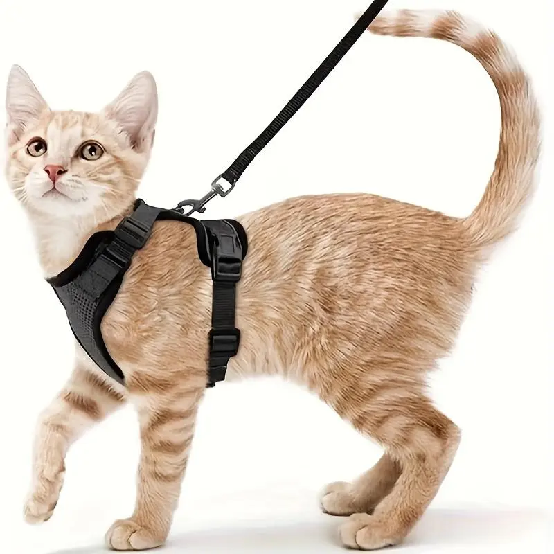 Ultra-Thin Adjustable Traction Rope Vest Style Pet Chest Harness - Leashes - Anti-Slip, Summer, Breathable, Comfortable, Reflective, Easy-On, Adjustable Chest Girth, Suitable for Small to Large Cats