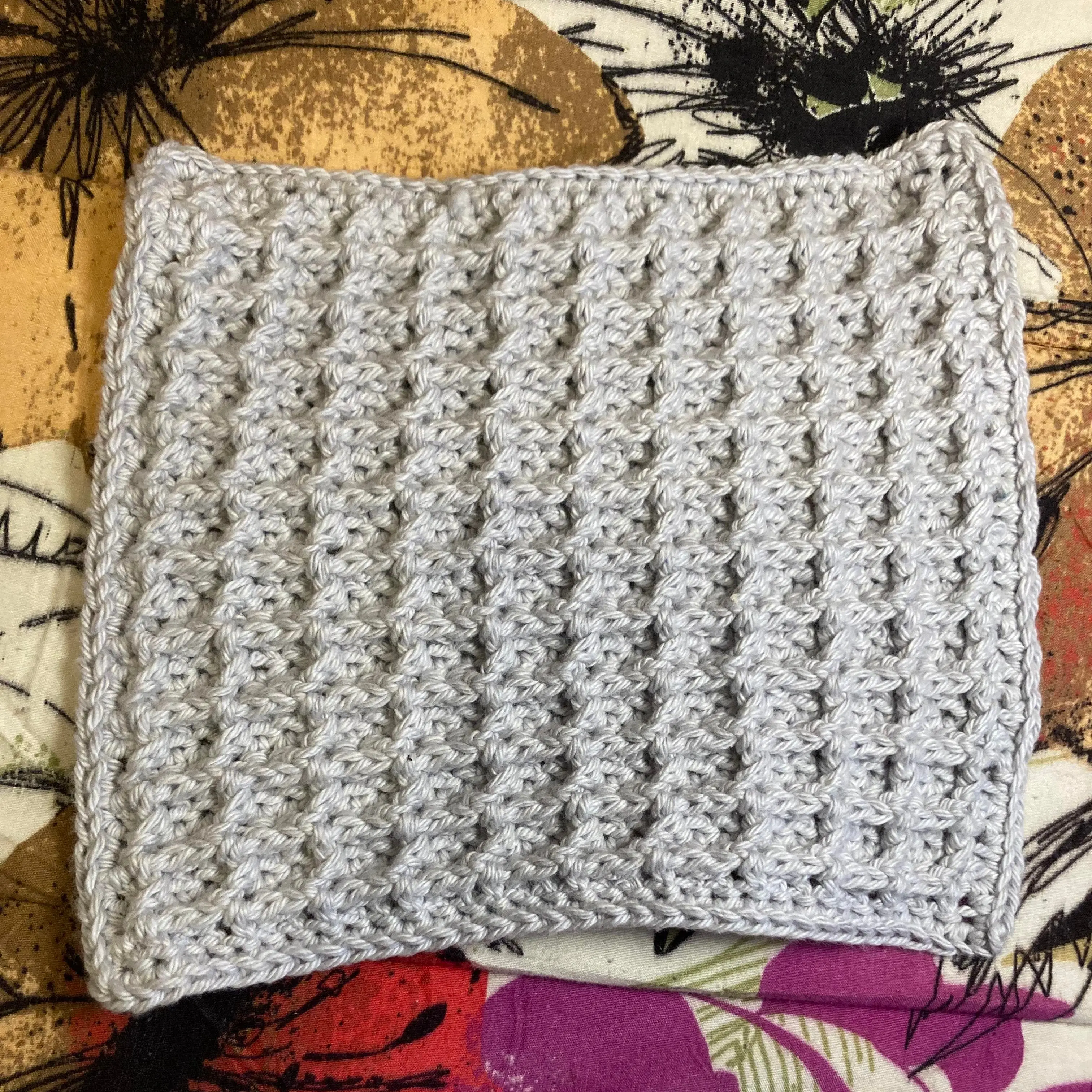 Silver Dishcloth