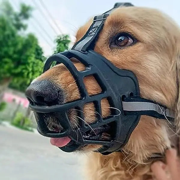 Friendly dog muzzle Friendly dog muzzle
