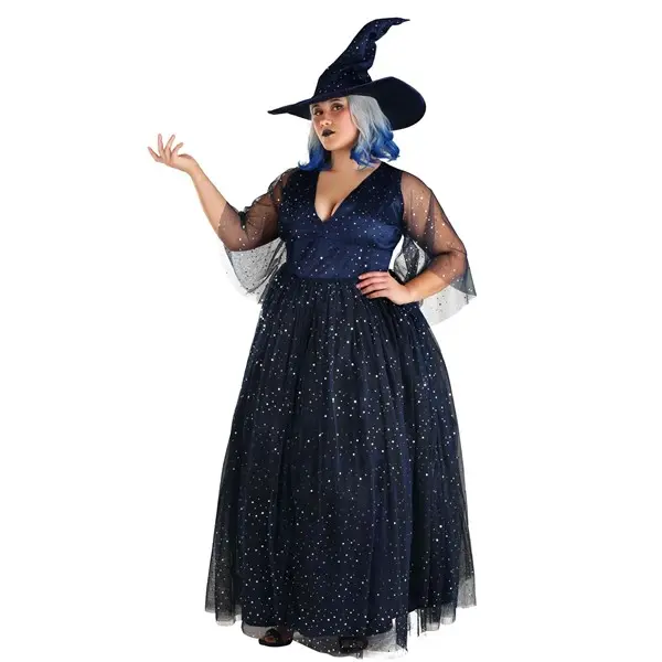 Plus Size Women's Moonbeam Witch Costume