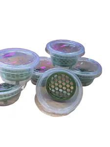 Corm Riser Set | With Cup & Lid | Set of 20
