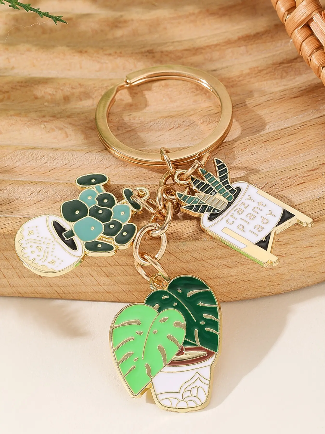Plant Succulent Keychain Set, Fresh Potted Plants Cute Girl Bag Charm, Car Key Chain Accessory, Small Gift Idea, Cute Keychains, Key Accessories