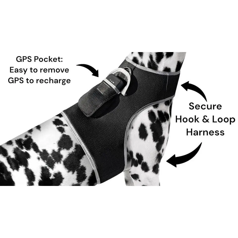 Mini GSM GPS Tracker for Animals, Water-Proof Enhanced Pet Locator Compatible with Android Mobile Devices