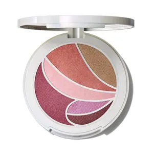 MAC Metamorphosis Face & Eye Palette