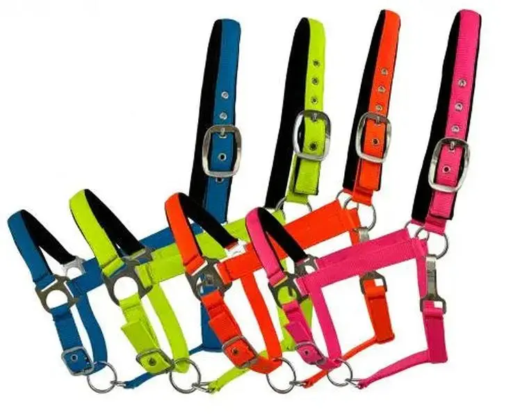 Average Horse size nylon adjustable nose halter in fluorescent colors