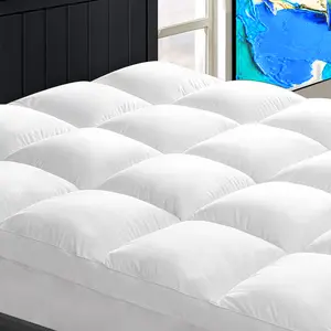 Mattress Topper Queen for Back Pain, Extra Thick Mattress Pad Cover, Plush Pillow Top, Deep Elastic Pocket, White