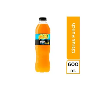 Jugo Del Valle Fruit, 600ml Bottles, 6-Pack
