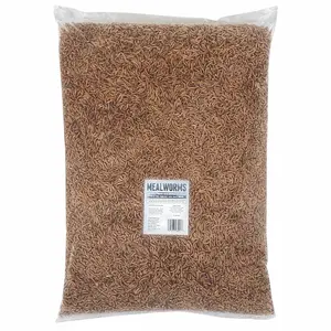 Flock Fest 10 lb. Bag of Mealworms