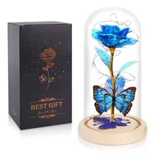 DEEMEI Mother's Day Gifts for Women Eternal Flower Light Up Galaxy Rose in Glass Dome with Butterfly Birthday Gifts for Her Mom Girlfriend Daughter Outdoorfun Design
