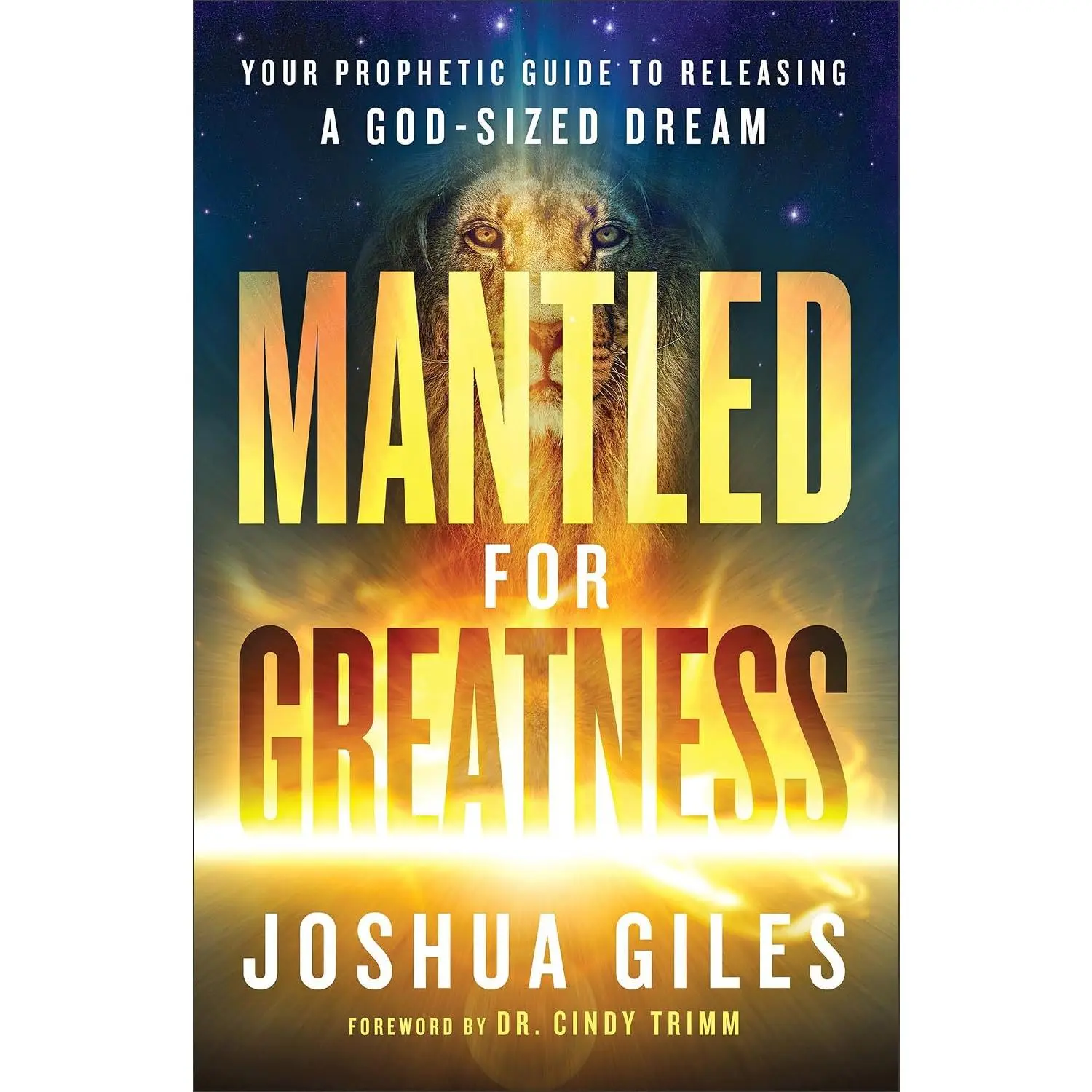 Mantled for Greatness: Your Prophetic Guide to Releasing a God-Sized Dream