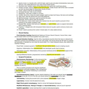 Comprehensive Anesthesiology and Surgery Vet Notes - BCSE and NAVLE Notes