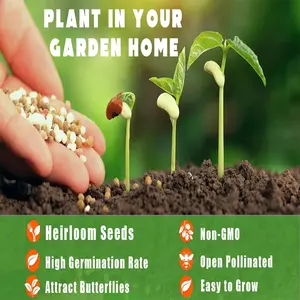 Fragrant jasmine seeds, non-genetically modified, evergreen climbing seed, easy to grow and care for garden/balcony planting, potted ornamental horticultural plant seeds.