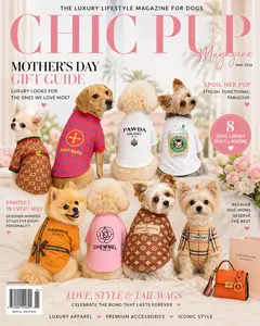 Luxury Designer Dog T Shirt – Trendy Puppy Clothes for Small Dogs, Fashion Pet Tee for French Bulldogs & Chihuahuas, Everything Chic Dog Apparel