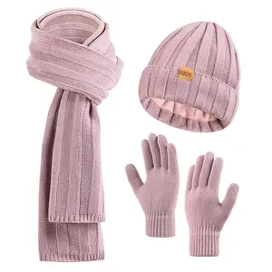 3PC Gift Set Women's Winter Hat Scarf Gloves Set Knit Beanie with Fleece Lining Touchscreen Gloves for Chilly Days Birthday Gifts and Christmas Gifts