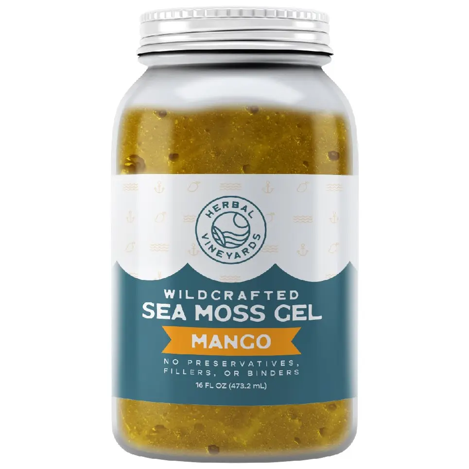 Herbal Vineyards Wildcrafted Mango Sea Moss Gel, 16 Oz Jar - Organic Dietary Supplement Made with Dried Seaweed & Fresh Sea Vegetables - USA-Made Natural Nutritional Staple