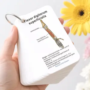 Medical Anatomy Flash Cards with Buckles, About 100 Types of Human Bone Learning Flashcards, Labeled Muscles for Medical Students & Doctors