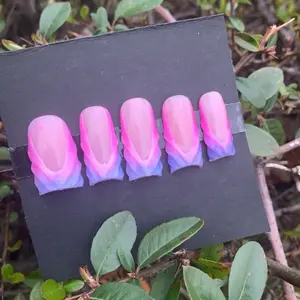 Faded Unicorn press on nail set