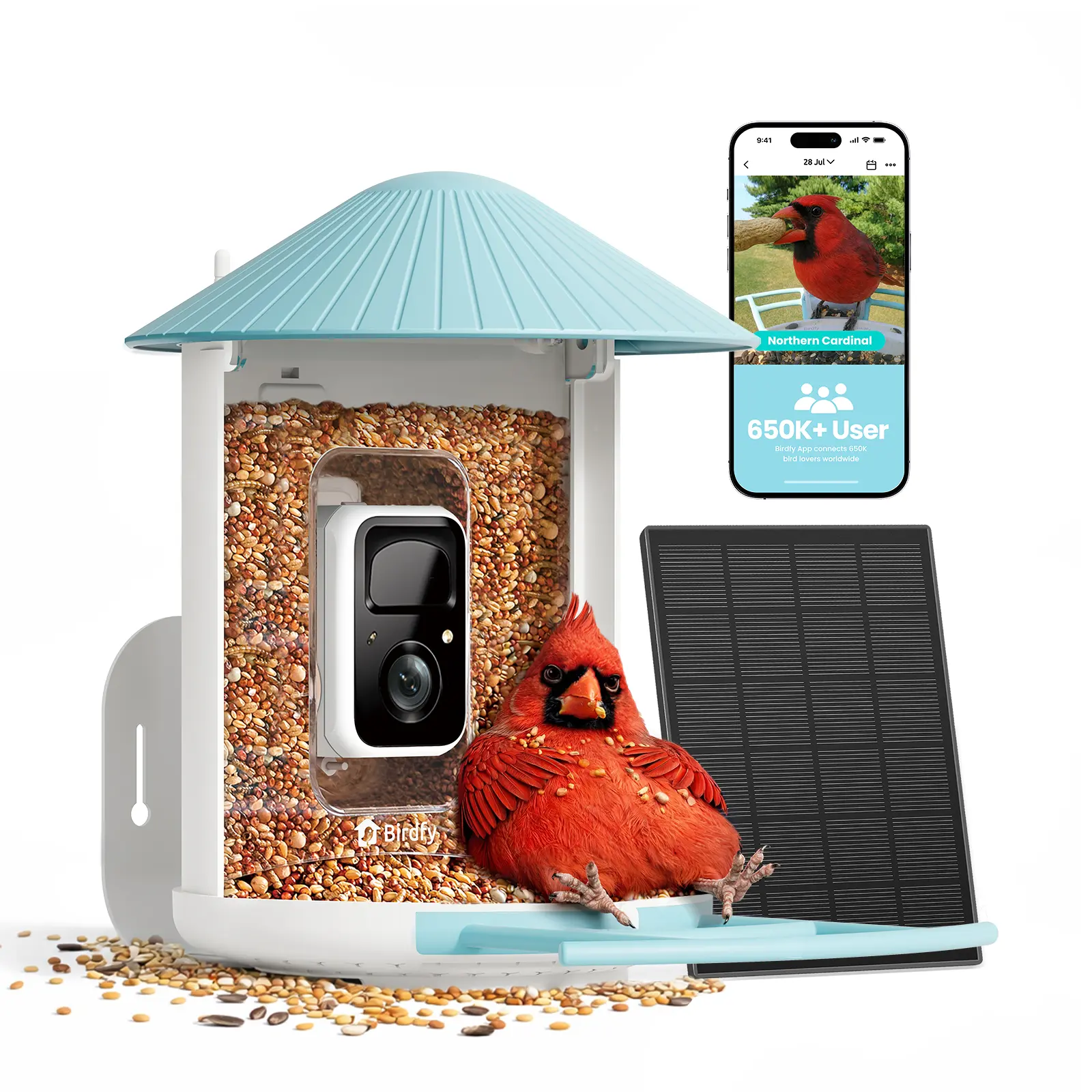 Birdfy Smart Bird Feeder with 2K HD AI Camera Solar Powered, Wireless Wildbird Watching, Live Stream&Color Night Vision, Auto-Capture & Notify, Free Cloud Storage, SummerVibes, Petlovers