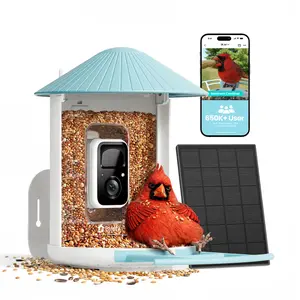 Birdfy Smart Bird Feeder with 2K HD AI Camera Solar Powered, Wireless Wildbird Watching, Live Stream&Color Night Vision, Auto-Capture & Notify, Free Cloud Storage, SummerVibes, Petlovers