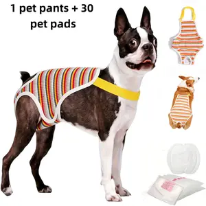 Reusable Dog Diapers Set with Pad, Adjustable Menstrual Pants for Dogs, Breathable Mesh Design, Comfortable Fit for Reproductive Period