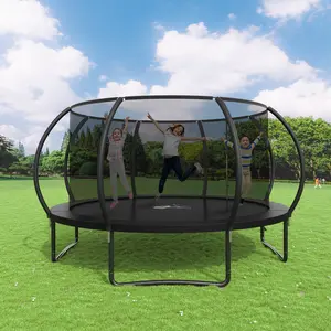 Outdoor Trampoline, 14FT Recreational Trampoline  for Kids and Adults,  ASTM Approved Trampoline with Safety Enclosure Net, Wide Ladder and Anti-Rust Coated Frame