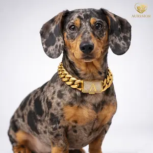 Dog Chain Diamond Collar Walking Metal Chain Necklace with Secure Buckle Pet Cuban Style Collar Jewelry Accessories for Small Medium Large Dog Cats Luxury Iced Out Cuban Link Dog Chain Collar – Personalized Bling Pet Necklace for Small Dogs & Dachshunds