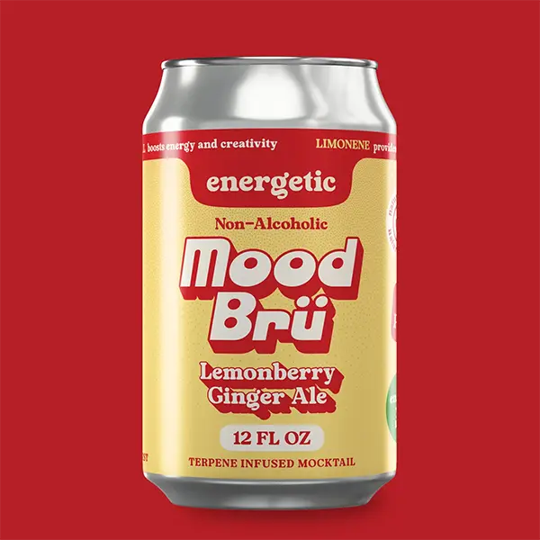 Lemonberry Ginger Ale Non-Alcoholic 12 Fl. Oz. Cans 4 Pack