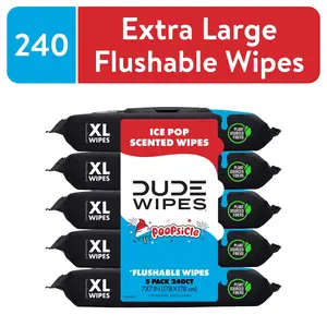 POOPSICLE ICE POP SCENTED EXTRA LARGE FLUSHABLE WIPES – 240 TOTAL (48 COUNT × 5 PACK) ADULT WIPES