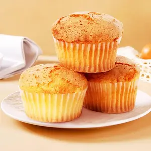 Toastique Flossy Cheese Cake Bites 6pcs 240g - Nutritious Breakfast & Snack