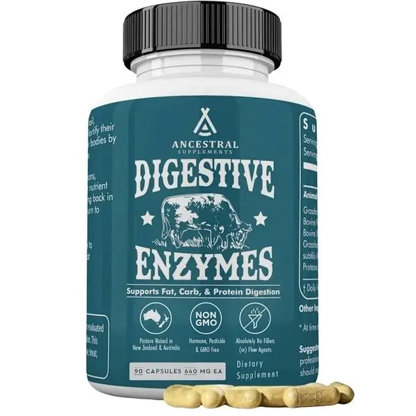 Ancestral Supplements Digestive Enzymes for Women & Men 90 Capsules with Probiotics & Grass Fed Beef Organs Supports Gut Health Digestive Health & Nutrient Absorption Allergen Free Non GMO Prebiotic Lactobacillus Blend